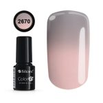 Trajni lak #2670